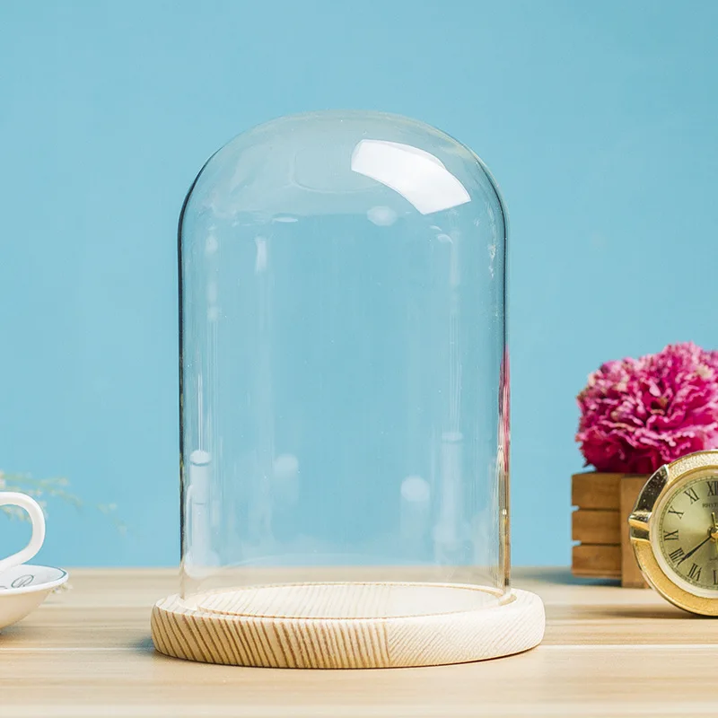 Glass Display Dome for Succulent Plants Home Decor DIY Figure Doll Display with Wooden Base