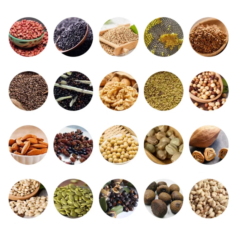 110V/220V Automatic Commercial Oil Press Rapeseed Peanut Oil Press 610W STB-508 Hot And Cold Small Stainless Steel