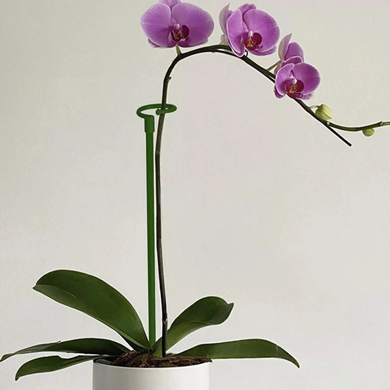 5pcs Plastic Plant Stand Rack Flower Support Pile Greenhouse Arrangement Fixed Rod Indoor Plant Vegetable Holder Bracket