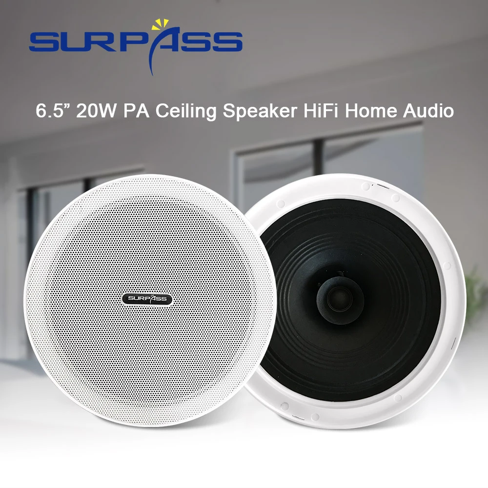 Ceiling woofer Outlet