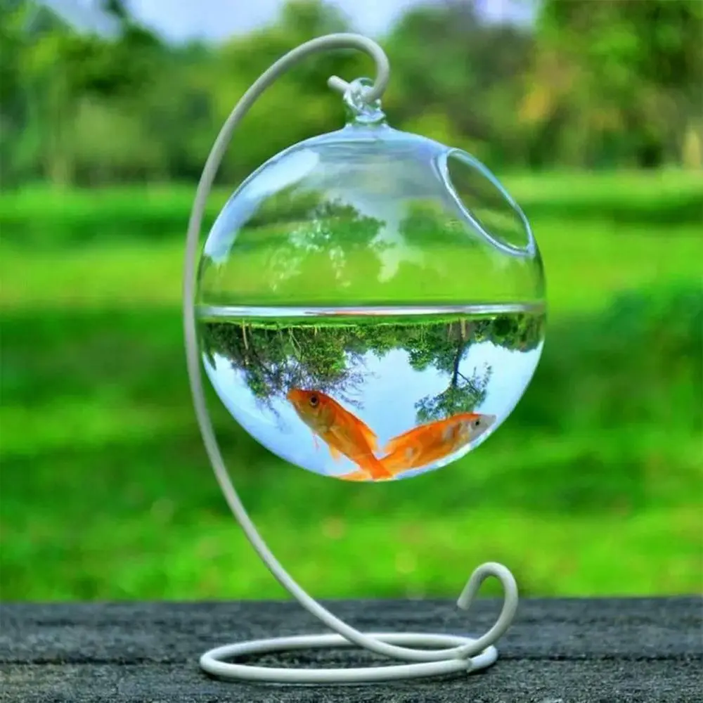 Hanging Glass Aquarium 3
