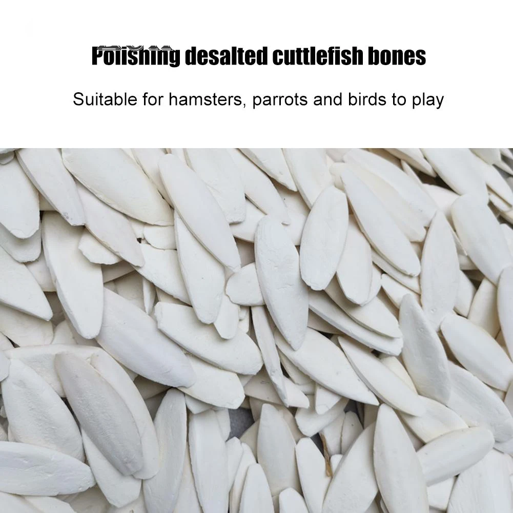 Cuttlefish Bone Bird Toys Pet Parrot Chew Toys Hanging Bell Chewing Bird Food Calcium Pick Stone Parakeet Cockatiel Molars Stone