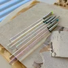 Nail Design Art Pen Aurora Transparent Brush Painting Brush Uv Gel Extension Drawing Carving Pen Diy Manicure Tool Nail Brush 3