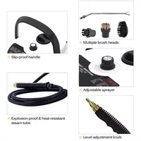 2025 NEW Steam Cleaner High Temperature Disinfection Air Conditioning Kitchen Range Hood Household/Car Steam Cleaner 220V 2