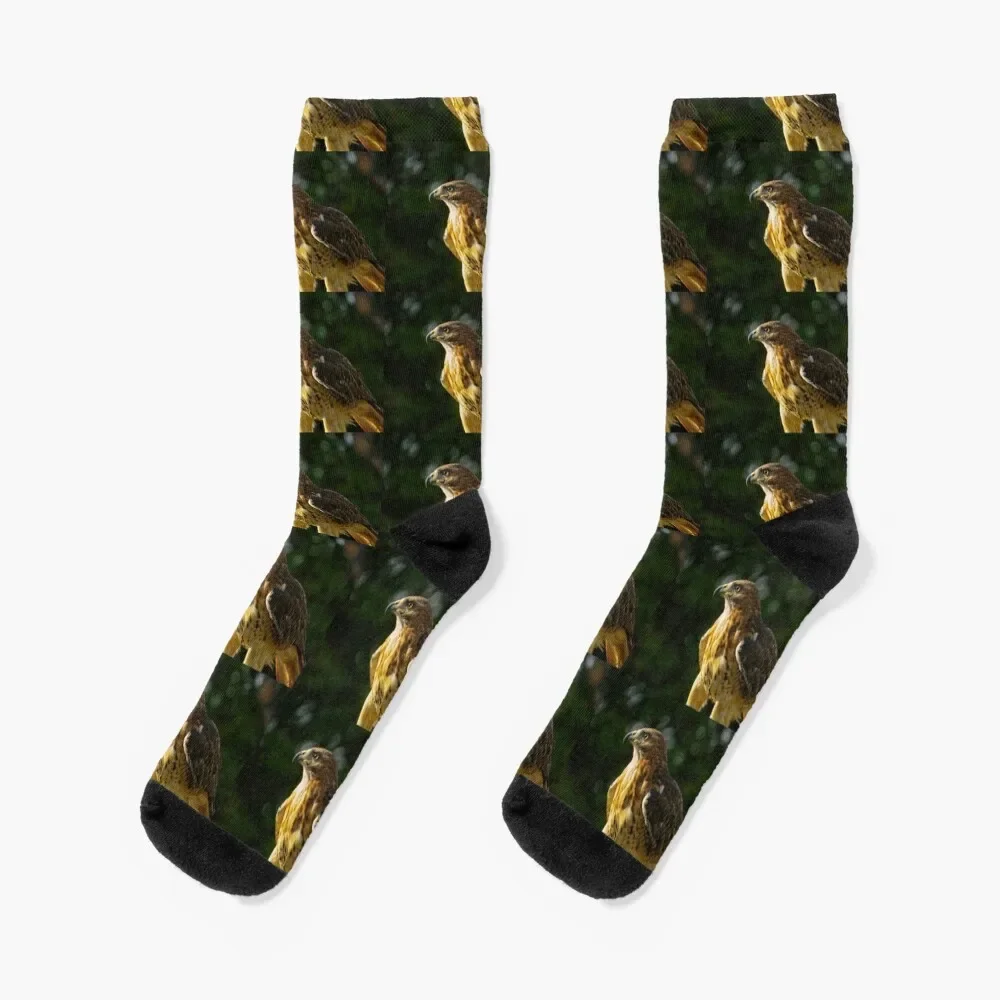 

Red-Tailed Hawk Socks shoes winter thermal cool gym Socks Women Men's