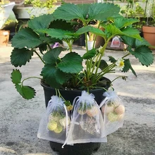Sacs de Protection contre les fruits, filet Anti-oiseau, 50 pièces, sacs de fraises, sac en maille pour raisin, jardinière à cordon coulissant, sacs de croissance