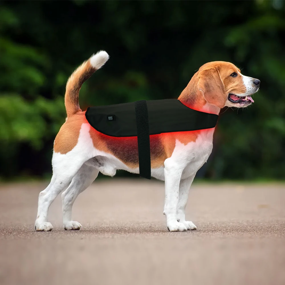 Anti-Inflammatory Factory 660nm Red Light Therapy Dog Back Pad