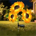 3 heads