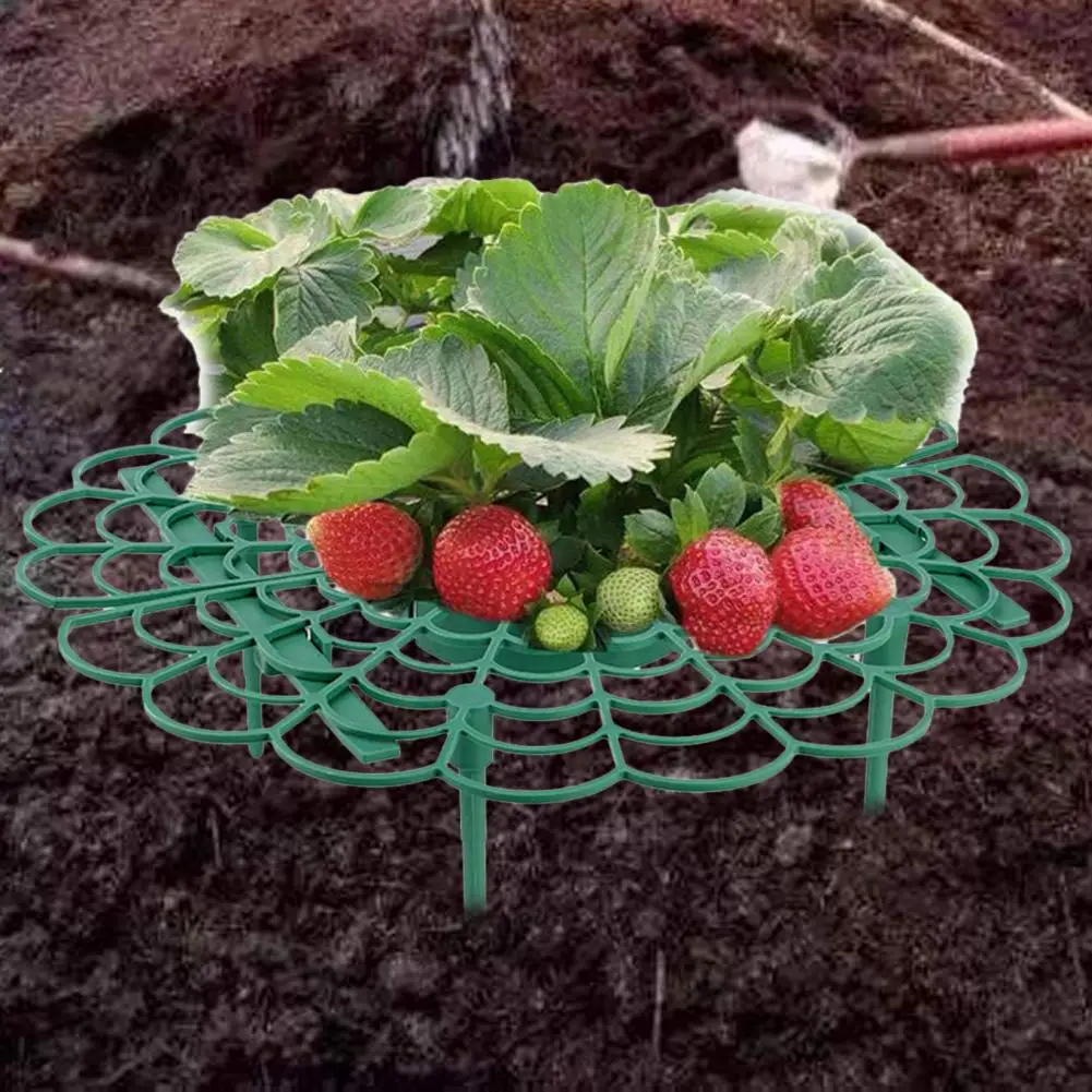 Plant Support Strawberry Supports Keeping Plant Fruit Stand Vegetable Growing Rack Garden Growing Improvement Stand
