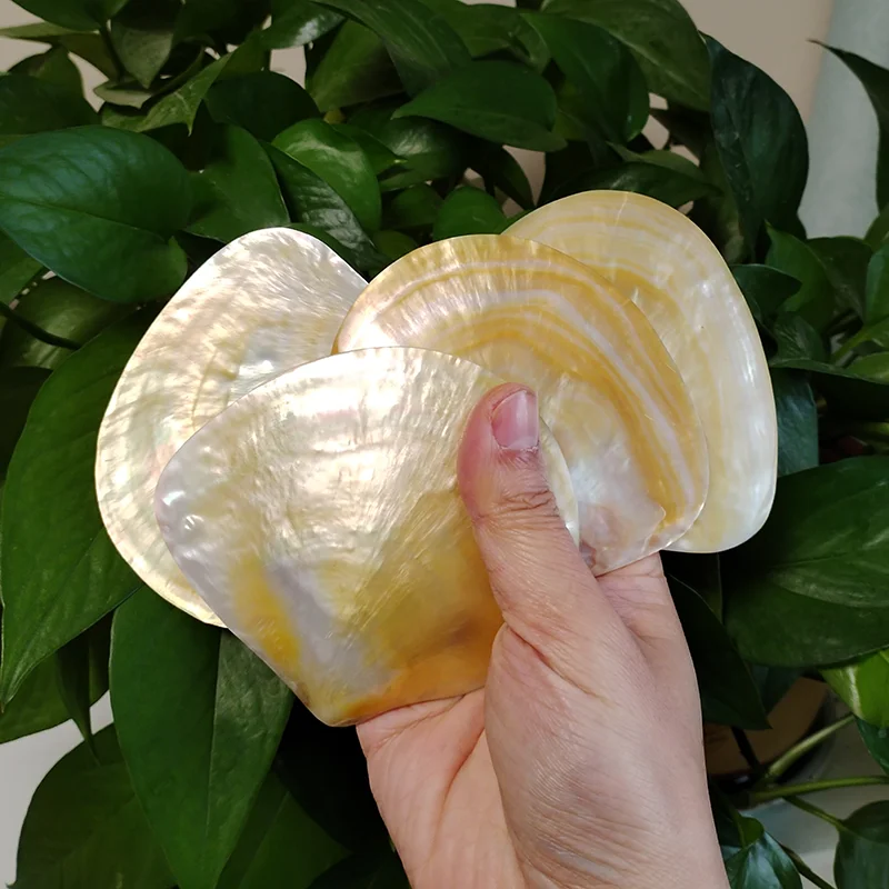 2PCS Natural Yellow Pearl Oyster Shell Dish Polished Shell Handmade Creative DIY Jewelry Beads Decorative Caviar Container 4