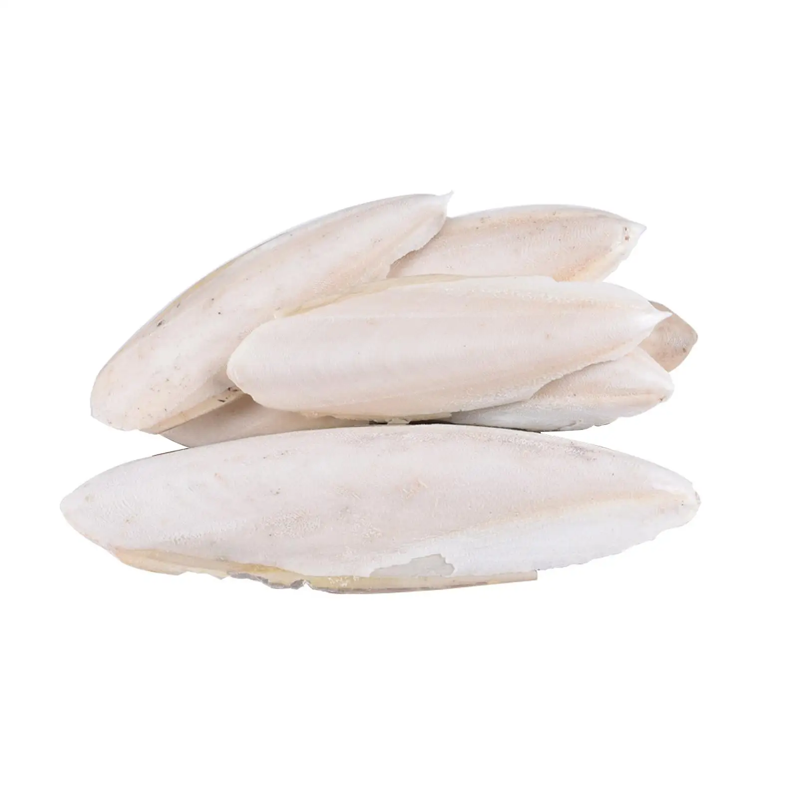 Fishbone Cuttlefish Bone Squid Cuttlefish Birds Eat Stone Calcium E1L8