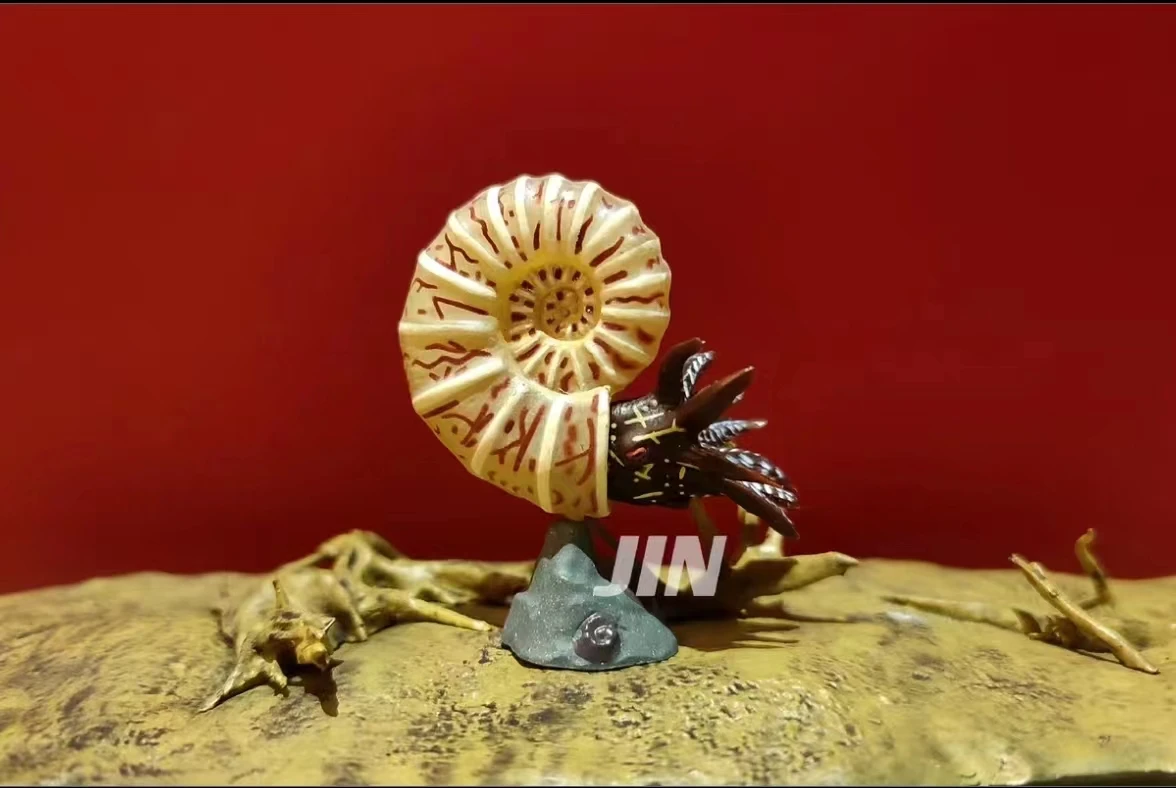

Миниатюрная модель mini ammonoid