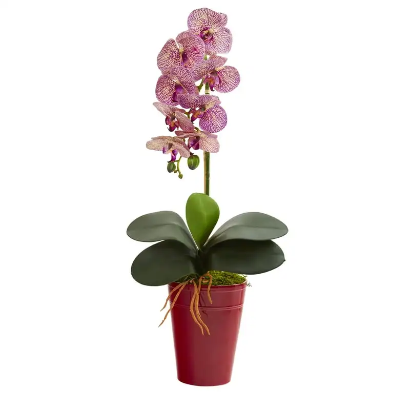 

Phalaenopsis Orchid Artificial Arrangement in Vase