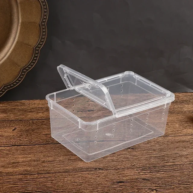 Transparent  Portable Reptile Insect Breeding Box Small Pet Observation Container Best Seller Spider Lizard Keeping Container 6