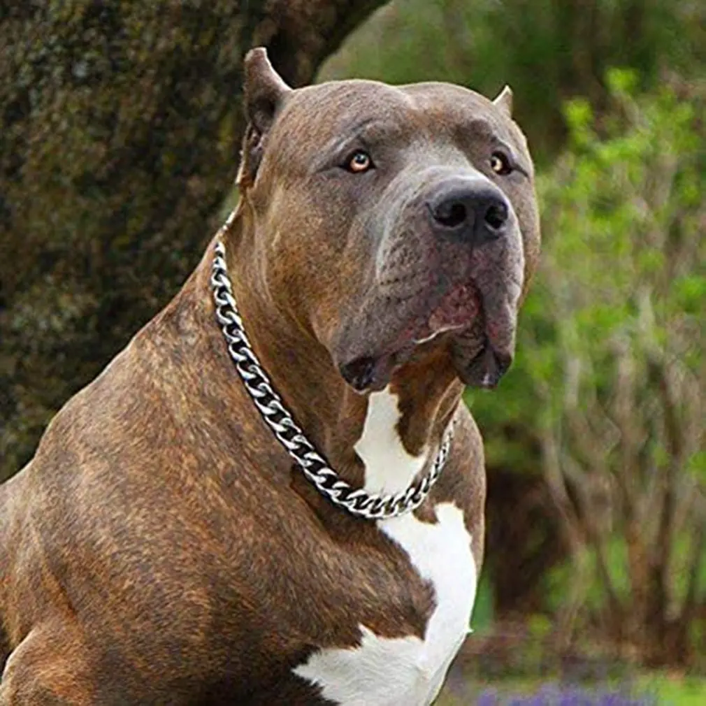 Gioielli Per Cani Collare Per Cani In Acciaio Inossidabile Catena D'Oro Catena Di Addestramento Durevole Di Lusso P Per Cani Di Taglia Grande Doberman