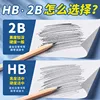 M&G 2B Pencil Log Stick 50 Triangular Wooden Pencils Student Exam Writing Art Drawing Wooden Pencils 5