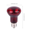 UVA Red Heating Lamp 220V Infrared Glass Bulb Amphibious Accessories for Reptiles Snake Lizards 25W 50W 100W Heating Bulb 4