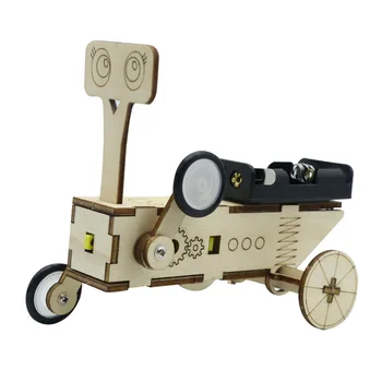 Robot per rettili fai-da-te Esperimenti scientifici elettrici in legno Giocattoli per bambini Educativi fatti a mano Assemblare giocattoli Ragazzi Ragazze