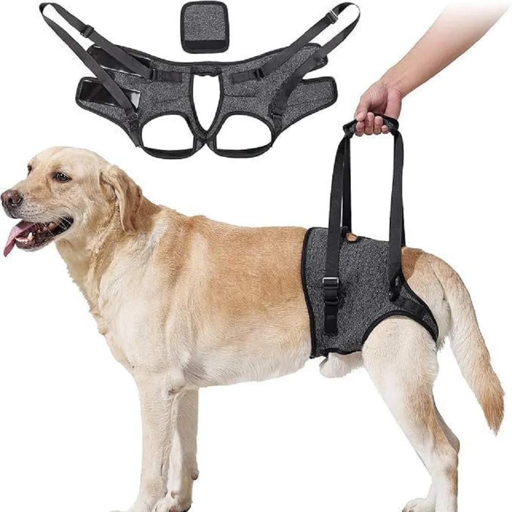 Best-Selling Pet Products For Injured Dogs With Hind Legs Support And Forrly injured dog rehabilitation straps with traction as