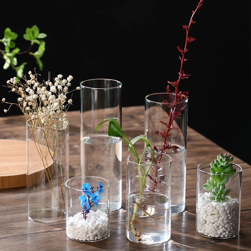 Ecological glass vase, straight tube transparent glass vase, creative high borosilicate landscape flower ware, home decoration 3