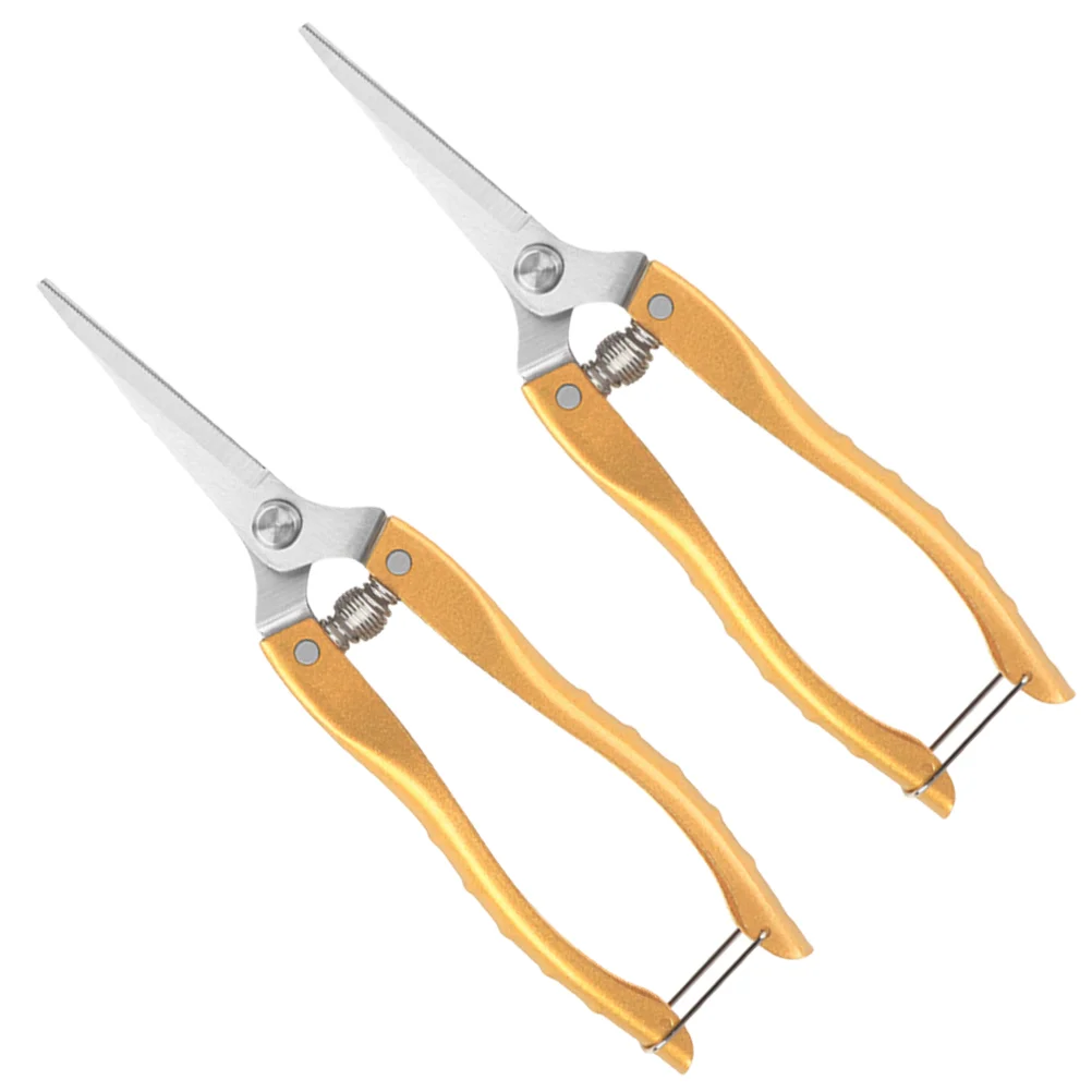 2 Pcs Stainless Steel Garden Pruning Shears Ergonomic Handles Neat Cutting Scientific Angle Rust Proof Easy 3