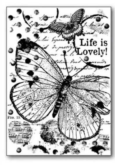 2021 신상품 스크랩북 카드용 클리어 스탬프 시간 만들기 늑대 올빼미 나비 스팀펑크 스탬프 세트 계정 공예 다이 없음