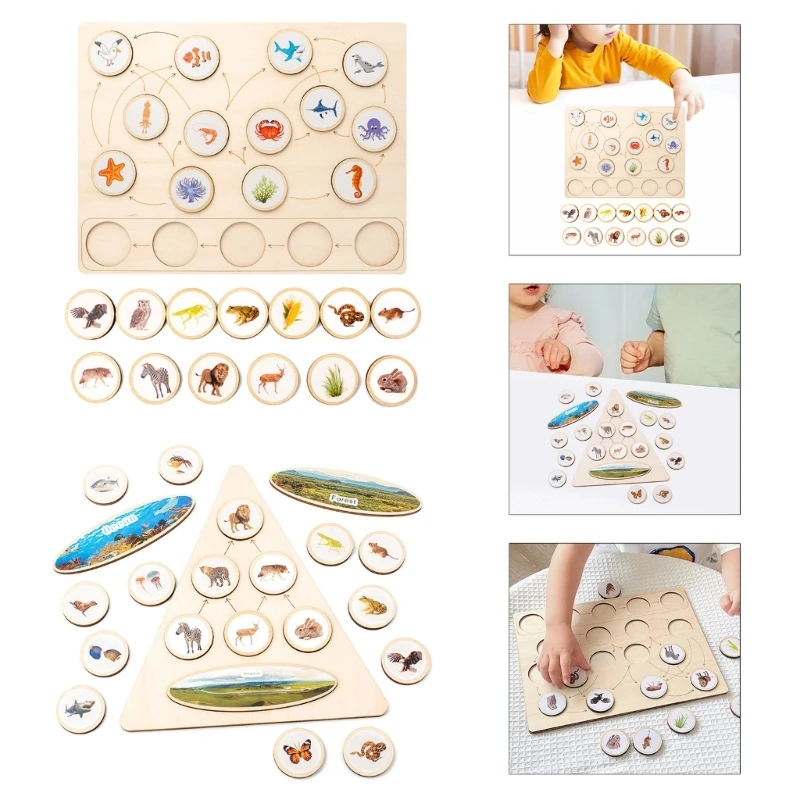 Biology Ecological Food Chain Sorting Puzzle Learning Toy Kindergarten Board Toy DropShipping life puzzle 1000 parts adult games popular toys creativity puzzling board game educational toys education kindergarten learnin