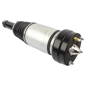 Air Suspension Strut