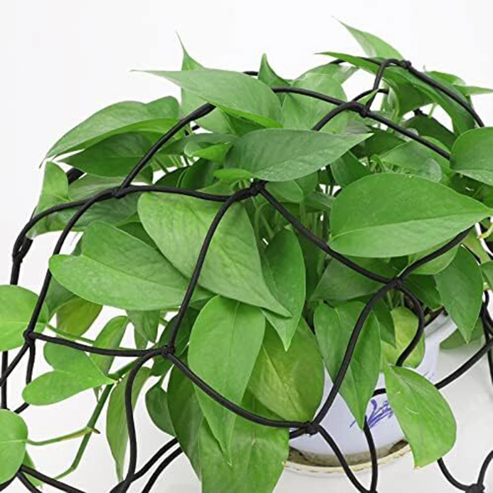 Description Picture 3 of itemPE Netting Elastic Trellis Netting Plant Growth Support Easy To Install Flexible Support Promotes Air Circulation For Grow Tents