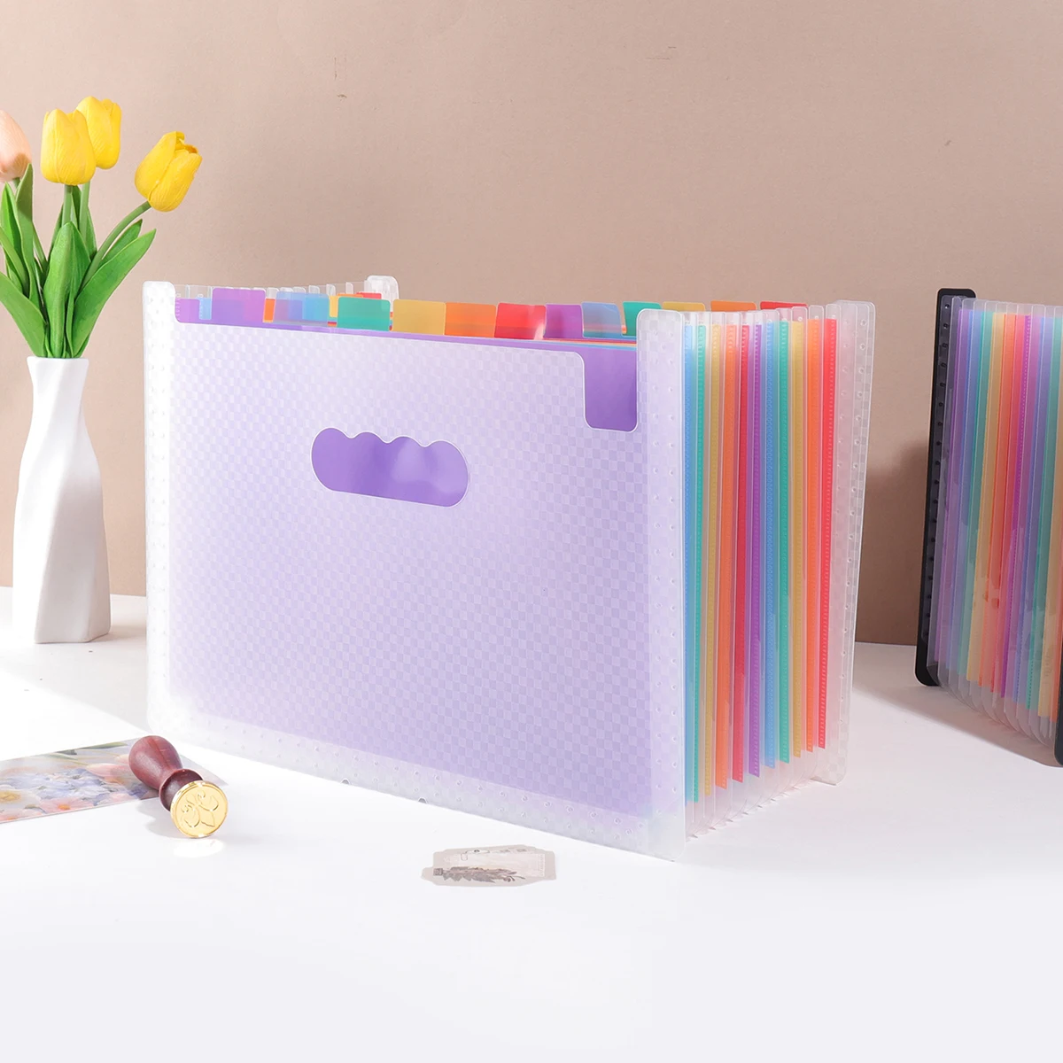 Checkerboard Pattern 13-Compartment Portable Storage Folder for School and Office Documents
