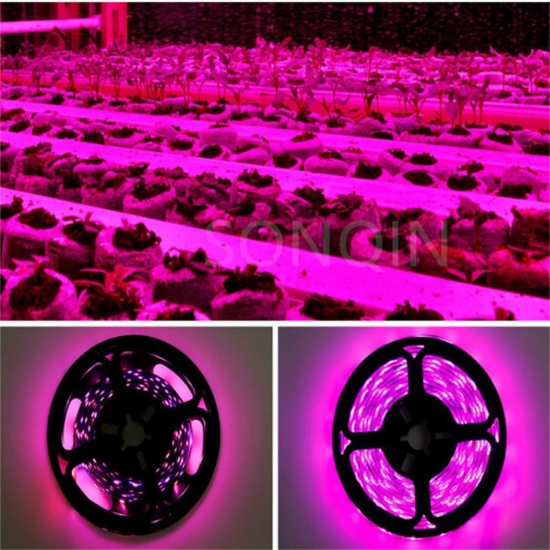 5M Impermeabile Led Full Spectrum Phyto Lamp Usb 5V Led Grow Light Strip 2835 Smd Plant Flower Led Serra Cultivo Idroponica
