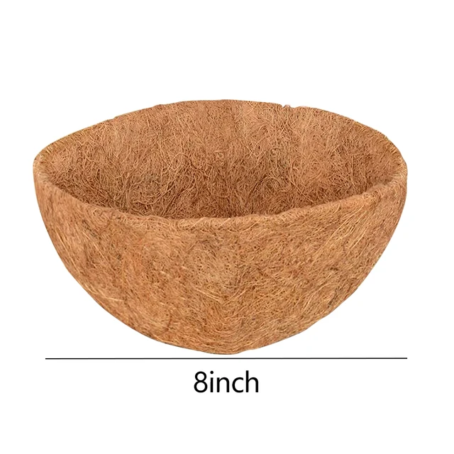 8inch