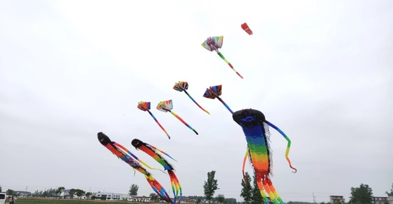 35 m großer alter Trilobiten-Drachen, fliegende Spiele im Freien, professioneller Drachenwagen, Cometa, leuchtende Spielzeuge, Cerf Volant Enfants Cometas – Detail 8