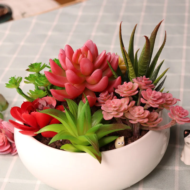 Vibrant Multicolor Flocking Succulent Plants