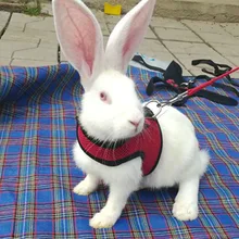 Pet Mesh Soft Harness With Leash Small Animal Vest Lead for Hamster Rabbit Bunny Small animal pet accessories Belt lead set