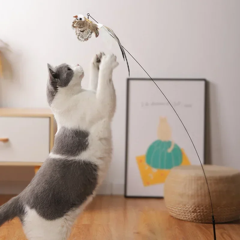 Bird Cat Toy Interactive - Cats Toy Bird Dangles