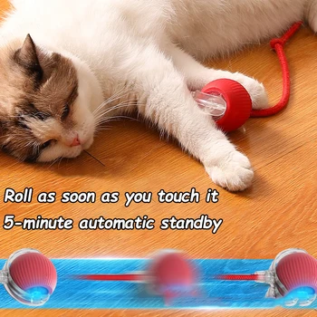 Automatic Rolling Cat Toy 4