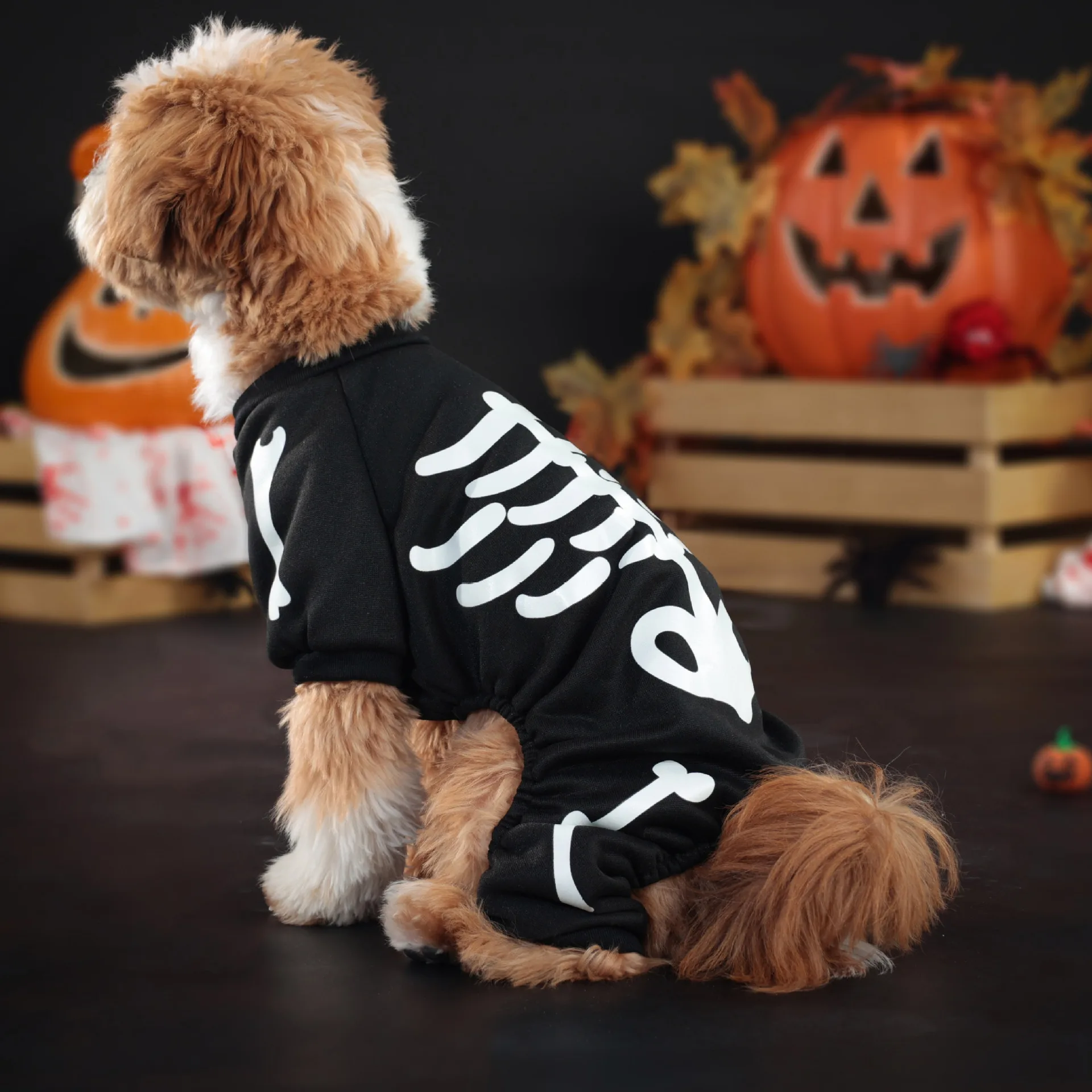 Combinaisons Fluorescentes pour Petits Chiens - Os de Crâne - Sweat à Quatre Pattes - 2025 - Vêtement et accessoires pour chiens - Doglovedesign