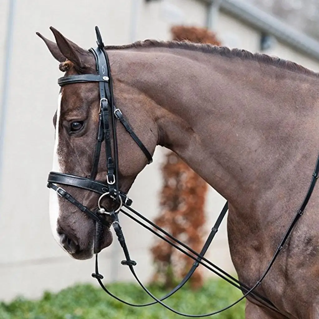 Black horse neck stretcher horse training care tool riding accessories 5