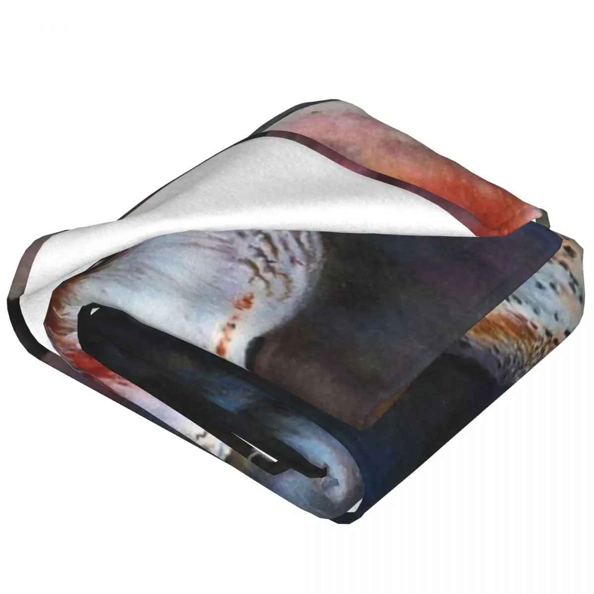 �û��� ������ �� ��Ʈ ���, ħ�� �� ħ�뺸, ��Ƽ�� ���, ����