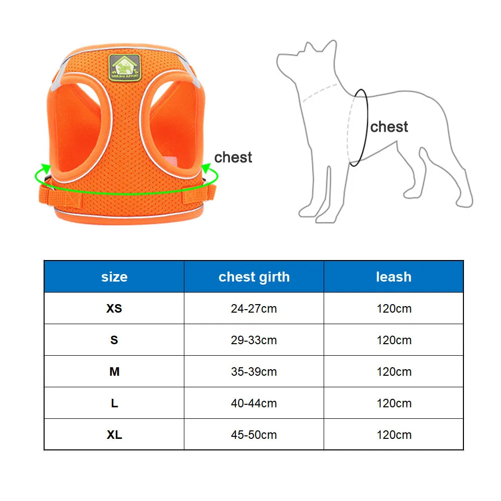 Arnés transpirable con correa para gato, chaleco antiescape, Collar para gatito, accesorios para mascotas, arnés ajustable para cachorros 6