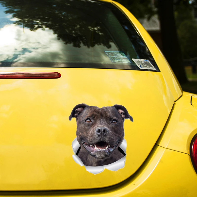 Рисунок 3 - Автомобильная наклейка Z283 #