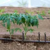 50 Pcs Hose Ground Pole Irrigation Bracket Plastic Pegs Pile Insert Rod System Parts Fixed Garden Support Stakes 5