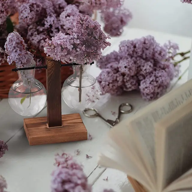 Növényi Terrárium Átlátszó Izzó Váza Faállványtal, Asztali Üveg Ültetvényes Hidroponikus Növények Kávézó Szoba Dekoráció (C) - Image 4