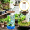 2 Pcs Fish Tank Terrarium Plants Florarium Glass Base Wood Dome for Flower Pots Vase 5