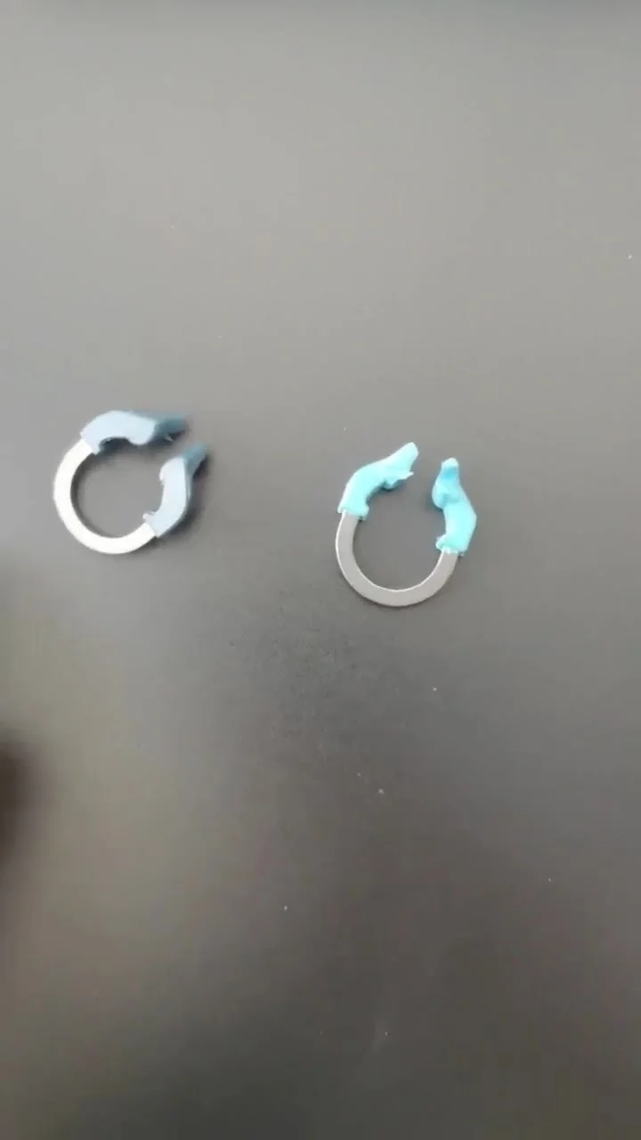 SKATTOOTH Bande Matrice Dentali Sezionali - Kit Ricarica In Metallo Con Anelli Clip