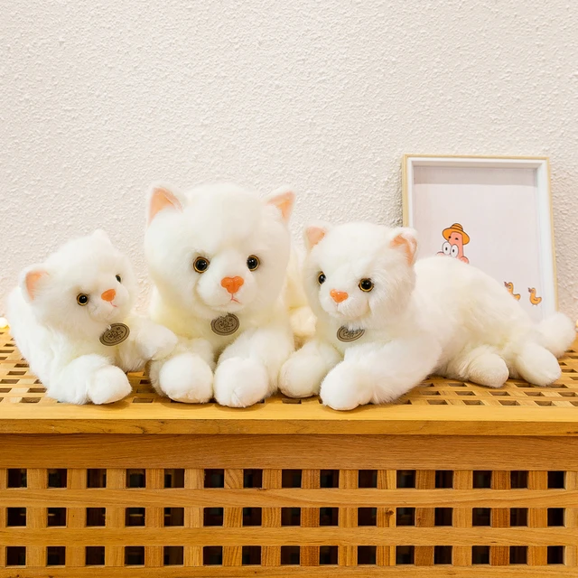 Kawaii Gato Siamês Brinquedo de Boneca de Pelúcia - Loja de Moda