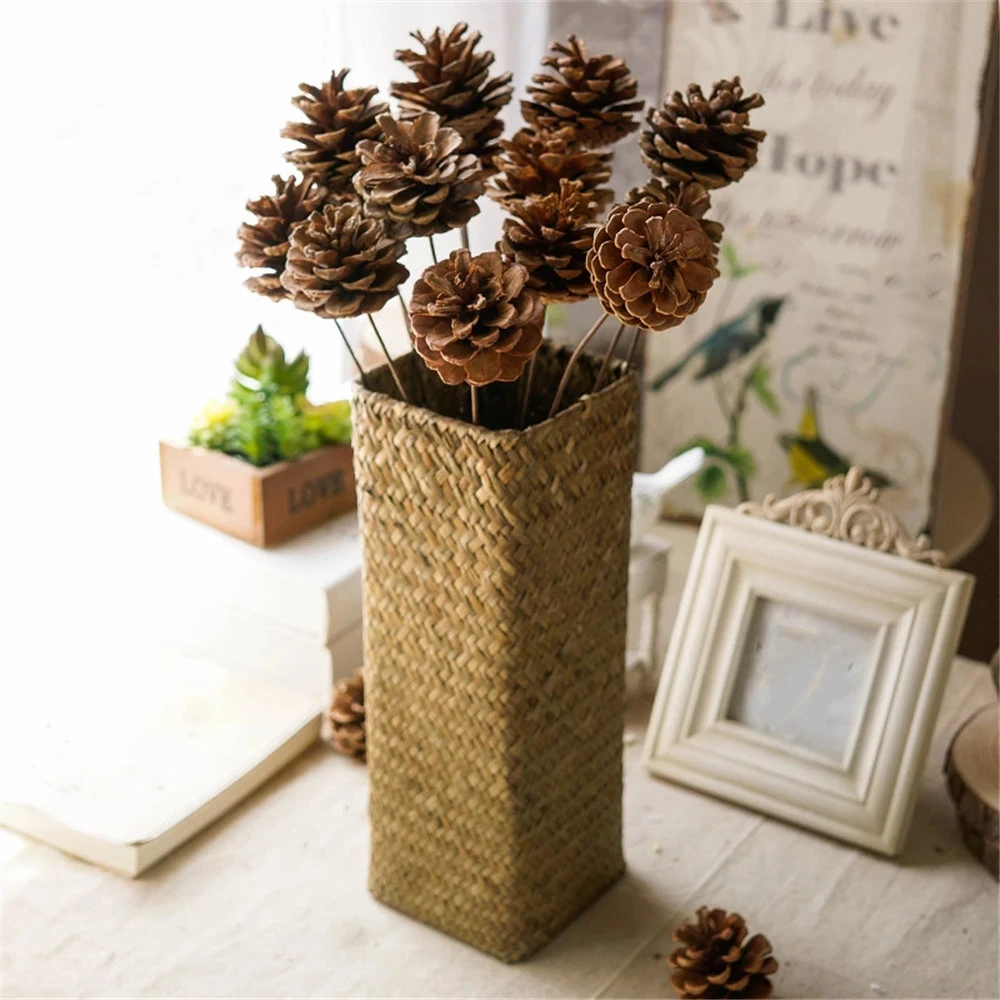 5pcs Hand Selected All Natural Premium Quality Brown Pine Cones