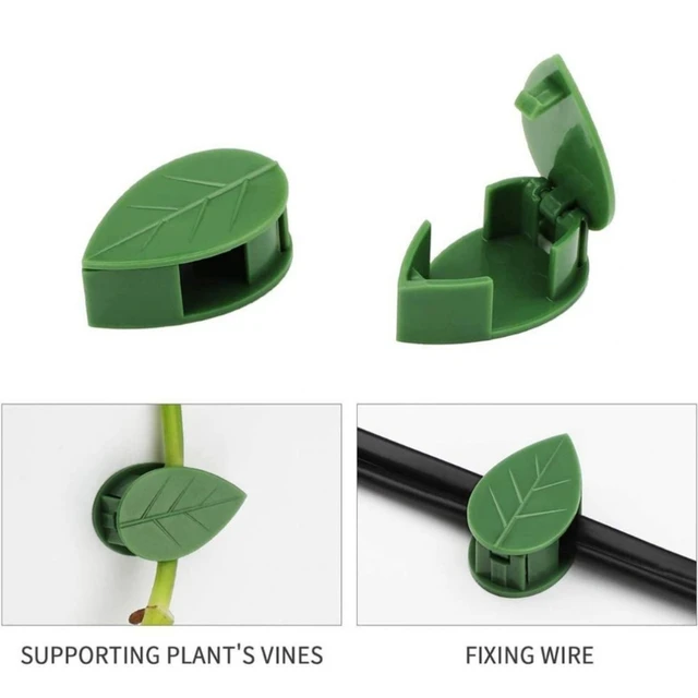10 db Növényi Hegymászó Fali Klip Láthatatlan Szőlőfal Ragacsos Horgos Növény Támogatja A Szőlő Klipjét - Image 2