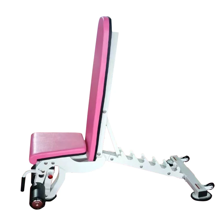 Multi Function Dumbbell Benches for Strength Training, Adjustable Weight Workout Bench, Incline Weightlifting, Heavy Duty